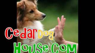 Dog House Heaters  Dog Heater Installation for Dog House [upl. by Mallorie]