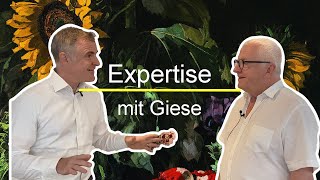 Expertise mit Giese  Josef Stoitzner [upl. by Jenne]