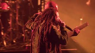 Alborosie  Kingston Town Live at Couleur Café 2018 [upl. by Airdnekal313]