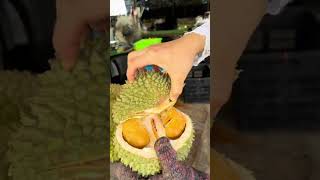 Durian Blacktorn Malaysiafruit [upl. by Herwig]