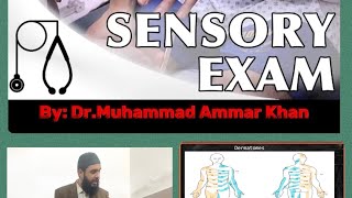 Neurological Examination Sensory System Part4 medicine neurology sensory examination mbbs [upl. by Deelaw]