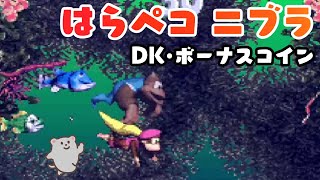 35 はらペコ ニブラ DKコイン・ボーナスコイン攻略【スーパードンキーコング3】Donkey Kong Country 3  Fish Food Frenzy [upl. by Weywadt]