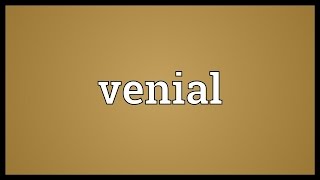 Venial Meaning [upl. by Aryamo]