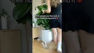 It’s ok you can laugh PlantFail FiddleLeaf OOPS HousePlants DontTryThisAtHome [upl. by Atsirak]