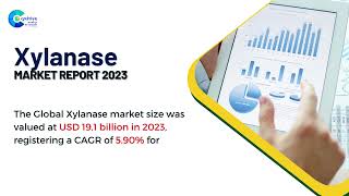 Xylanase Market Report 2023  Forecast Market Size amp Growth [upl. by Yeorgi]