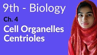 9th Class Biology  Ch 4  Explain Centrioles  Matric Part 1 Biology [upl. by Ahsek]