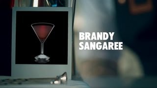 BRANDY SANGAREE DRINK RECIPE  HOW TO MIX [upl. by Lebisor872]