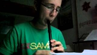 Carraroe Jig on tin whistle [upl. by Uticas]