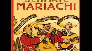 LES MARIACHISel jarabe tapatio [upl. by Ayahsal998]