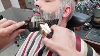 Best Beard STYLE For Men 2020  Beard Grooming  Grey Beard [upl. by Francene]