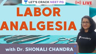 Labor Analgesia  NEET PG 2021  Dr Shonali Chandra [upl. by Rozella]