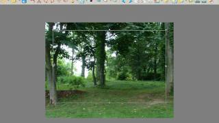 Xnviewpart2basic image editing [upl. by Yblocaj552]