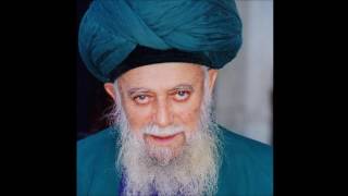 Surah Yasin Recitatiton by Mawlana Shaykh Nazim [upl. by Davies999]