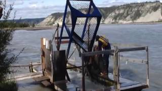 Chitina Fish Wheel [upl. by Yedrahs]