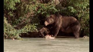 Voyage au coeur de la Sibérie  Documentaire [upl. by Kristof]