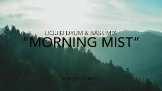 quotMorning Mistquot  Liquid Drum amp Bass Mix [upl. by Oira]