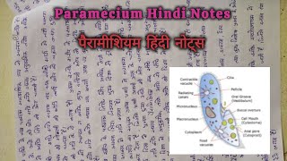 पैरामीशियम हिंदी मीडियम नोट्स  गमन पोषण और जनन paramecium locomotion nutrition reproduction [upl. by Leeland]