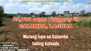 P 565 Murang lupa sa Calamba 24754 sqms Property  2000sqm in CALAMBA Laguna for sale [upl. by Nawram]