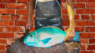 EXPERT FISH CUTTING VIDEO 2024  RARE FISH CUTTING SKILLS IN FISH MARKET ACEHNESE 🔪🔥 [upl. by Anileuqcaj]