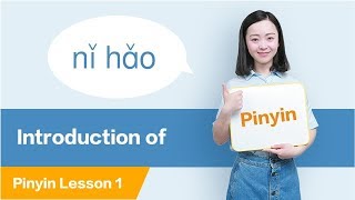 Introduction to Pinyin All about Chinese Pinyin  Chinese Pinyin Lesson 1 [upl. by Alfonso]