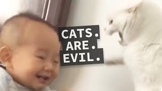 Cats are Evil Compilation  Why Cats Cant be Trusted [upl. by Wilden]