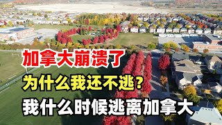 回复黑粉：加拿大崩溃了为什么我不回国？我什么时候逃离加拿大？为什么一直骂加拿大？ [upl. by Meredith]