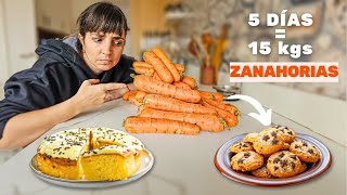 ¿Qué hice con tanta Zanahoria [upl. by Garda272]