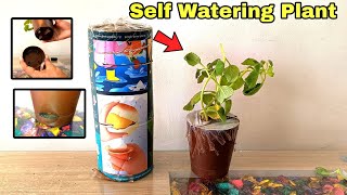 Unboxing amp Reviewing quotSelf Watering Plantquot  How to Open Self watering Plant  selfwatering [upl. by Sarine629]