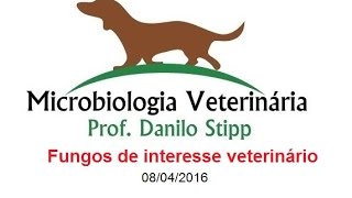 Micro Vet 20152 Aula 11  Fungos de interesse veterinário [upl. by Llorrac10]