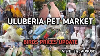 ULUBERIA PET MARKET BIRDS PRICES UPDATE 31st AUGUST uluberiapetmarket cheapestprice birds [upl. by Eireva262]