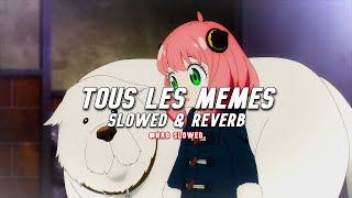 Stromae  Tous les Mêmes slowed amp reverb  TikTok Version [upl. by Znieh808]