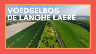 Eten uit het Bos  Voedselbos De Langhe Laere lente 2024 [upl. by Maleeny]