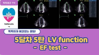 Ejection Fraction test EF test echocardiography 심장초음파 LV systolic function [upl. by Dream]