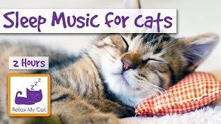 2 HOURS of Sleep Music for Cats Try it Today and be Surprised [upl. by Aicenek]