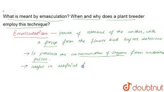 What is meant by emasculation When and why does a plant breeder employ this technique [upl. by Gretna]