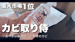 【閲覧注意】カビ取り侍で木材とカーテンの頑固なカビを大掃除しました。【主婦の暮らしVlog 74】 [upl. by Ardnajela]