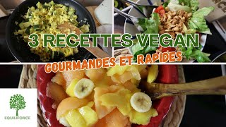 3 RECETTES VEGAN pour un REPAS RAPIDE et EQUILIBRÉ  LUNDI VERT n°293 [upl. by Enamrahs]