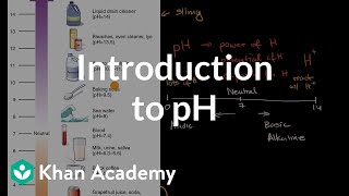 Introduction to pH  Biology foundations  High school biology  Khan Academy [upl. by Balthasar]