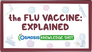 The flu vaccine explained [upl. by Lidaa657]