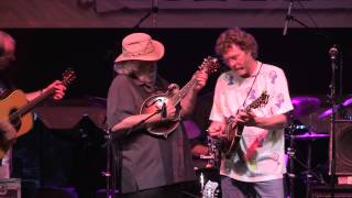 Sam Bush Band  Romp 2013 Full Set [upl. by Qifahs146]