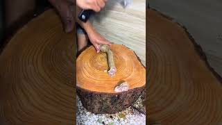 Satisfying Meat Cutting Skill  Best Knife For Cutting Shorts2585 [upl. by Lener]