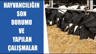 CANLI Hayvancılığın Son Durumu Ve Yapılan Çalışmalar  Ercan Ödül  Vural Mutiş [upl. by Nosnarb]