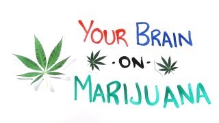 Your Brain on Drugs Marijuana [upl. by Ahtanamas]