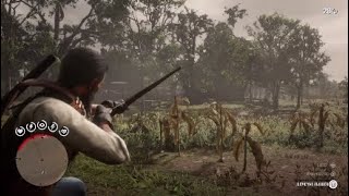 RDR2  Weapons Expert 9 Easy Method [upl. by Pierette]