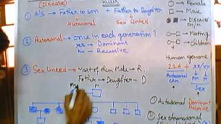 3 Pedigree analysis  autosomal dominant [upl. by Elman]