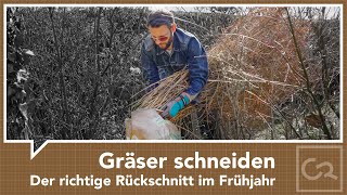 Gräser schneiden – Rückschnitt im Frühjahr [upl. by Sedlik766]