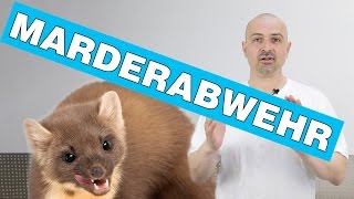 Marderabwehr  Einen Marder erfolgreich aus dem Dach vertreiben vom Profi erklärt 2017 [upl. by Adela]