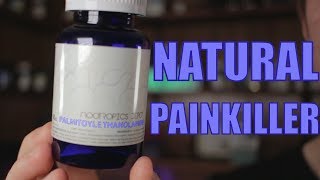 Palmitoylethanolamide Review [upl. by Mair914]