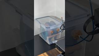 Filament dry box asmr assembly 3dprinting asmr anxietyrelief [upl. by Bisset]