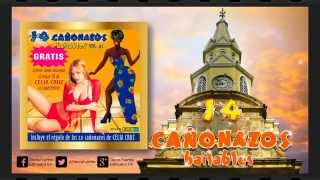 14 Cañonazos Bailables Volumen 42  ALBUM COMPLETO [upl. by Yecaw]